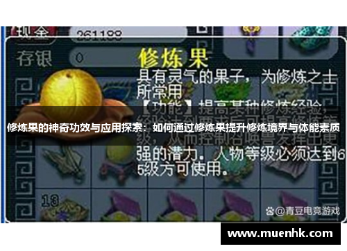 修炼果的神奇功效与应用探索：如何通过修炼果提升修炼境界与体能素质